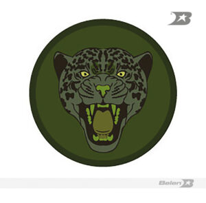 Escudo bordado Ejército brigada 11