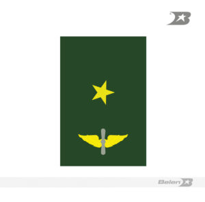 Presillas de aviación