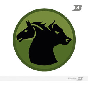 Escudo bordado Ejército brigada 16