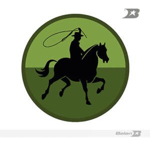 Escudo bordado Ejército brigada 18