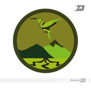 Escudo bordado Ejército brigada 29