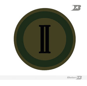 Escudo bordado Ejército división 2