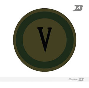 Escudo bordado Ejército división 5