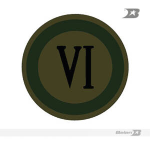 Escudo bordado Ejército división 6