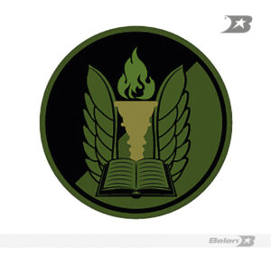 Escudo bordado Ejército brigada instrucción entrenamiento Y renetrenamiento