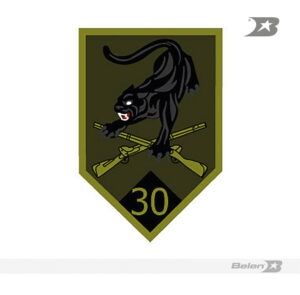Parche batallón de infantería selva No 30 GR Alfredo Vasquez Cobo