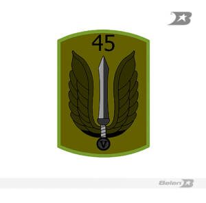 Parche batallón de combate terrestre No 45 héroes de majagual