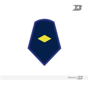 Jineta de grado aviación