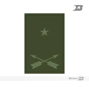Distintivo grado pecho fuerzas especiales