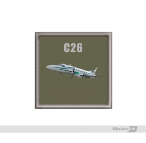 Tarjetero brazo C26