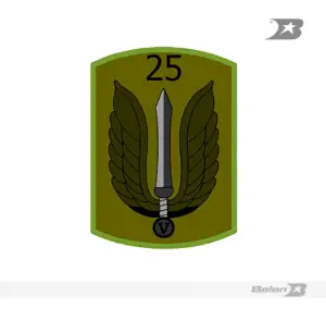 Parche batallón de combate terrestre No 25 héroes de Paya