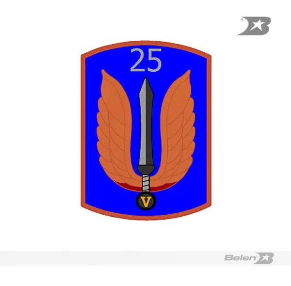 Parche batallón de combate terrestre No 25 héroes de Paya - Imagen 2