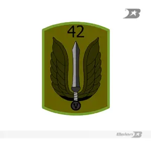Parche batallón de combate terrestre No 42 héroes de boracoas