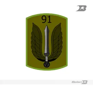 Parche batallón de combate terrestre No 91 MY Wilson Enrique Beltran Sanchez