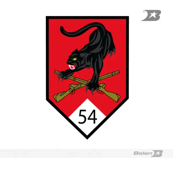 Parche batallón de infantería selva No 54 bajo atrato - Imagen 2