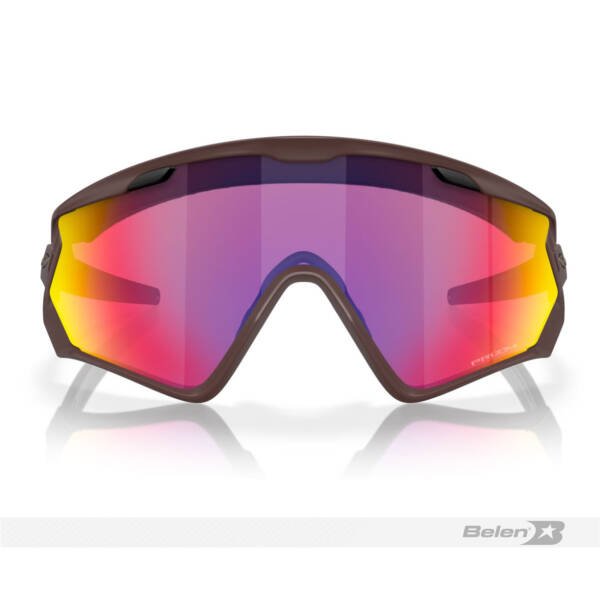 Gafas Oakley Wind Jacket 2.0 - Imagen 2